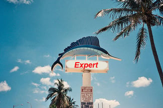 Miami SEO Expert: How to Position your Website on a Local Market - Featured Image